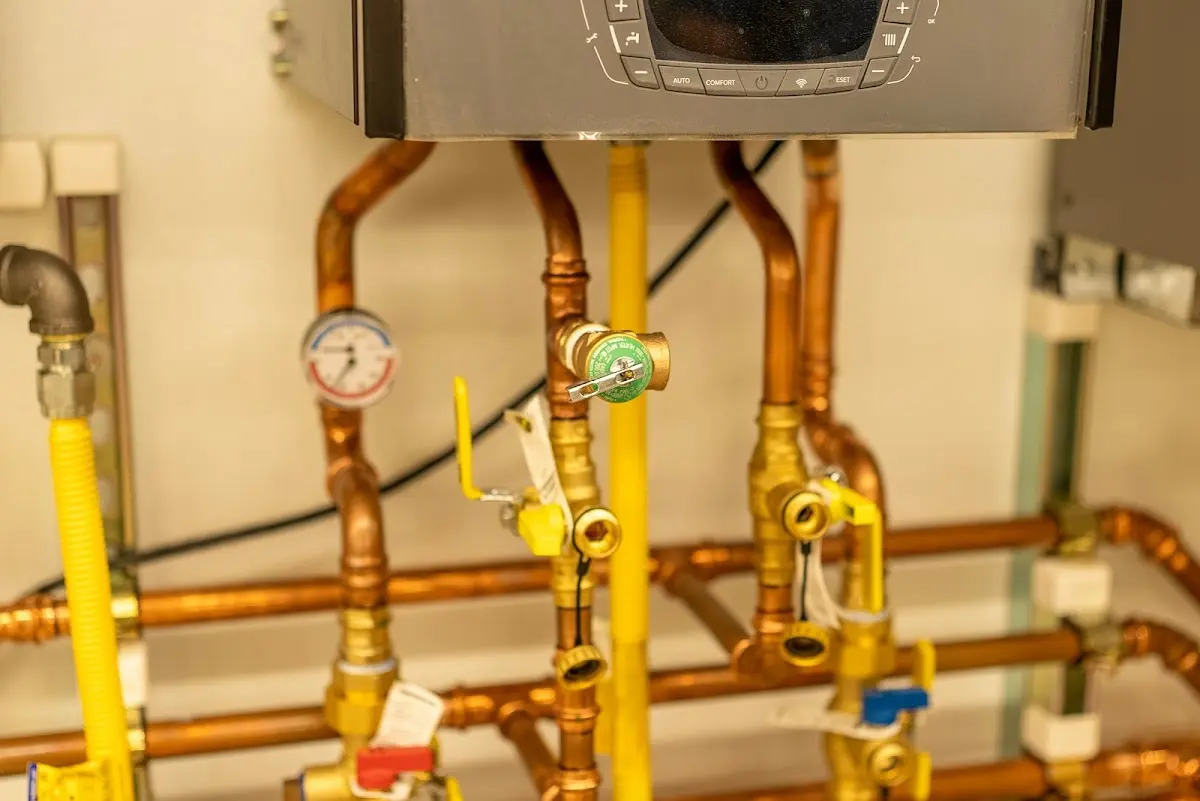 Licensed technician providing Emergency Plumbing for a homeowner in Selbyville